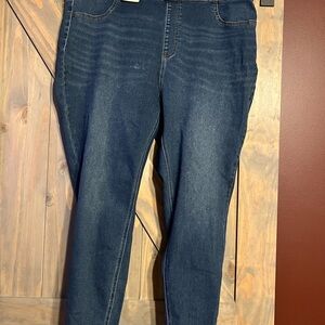 Time and Tru Indigo Jeggings